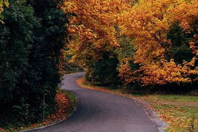 Strada autunnale al Saragiolo